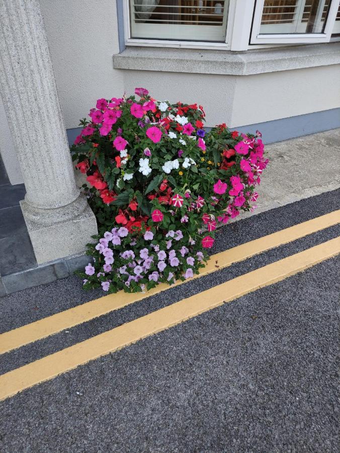 Ma Dwyer's Guest Accommodation Navan Extérieur photo